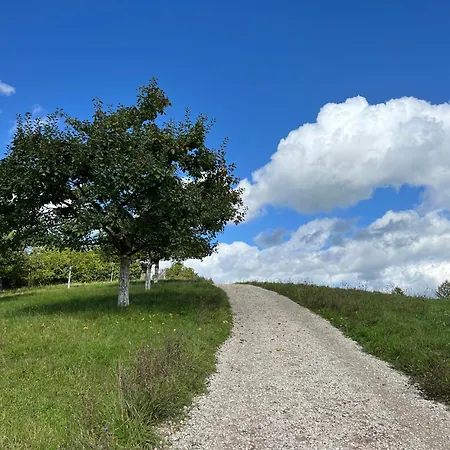 Matchpoint آلتدورف باي نورنبرغ