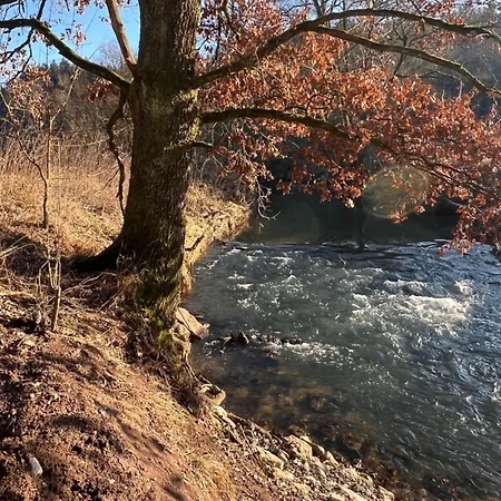 Matchpoint Altdorf bei Nuernberg