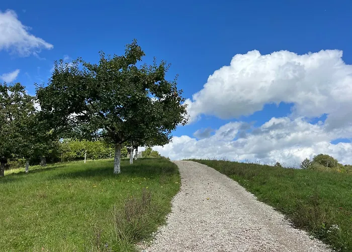 Matchpoint Альтдорф-бай-Нюрнберг