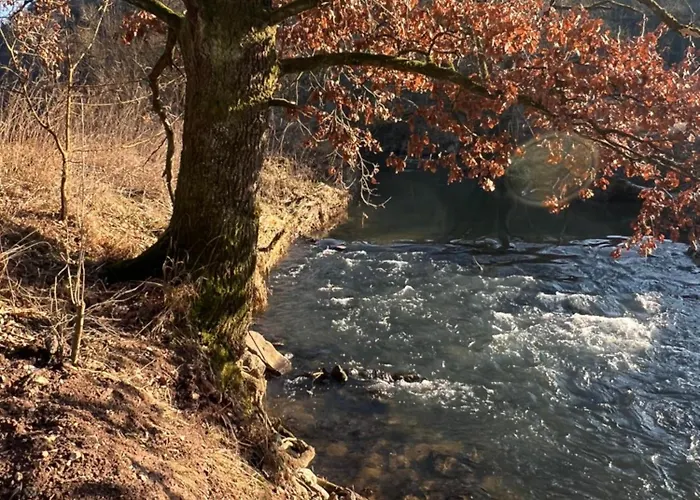 Matchpoint Альтдорф-бай-Нюрнберг